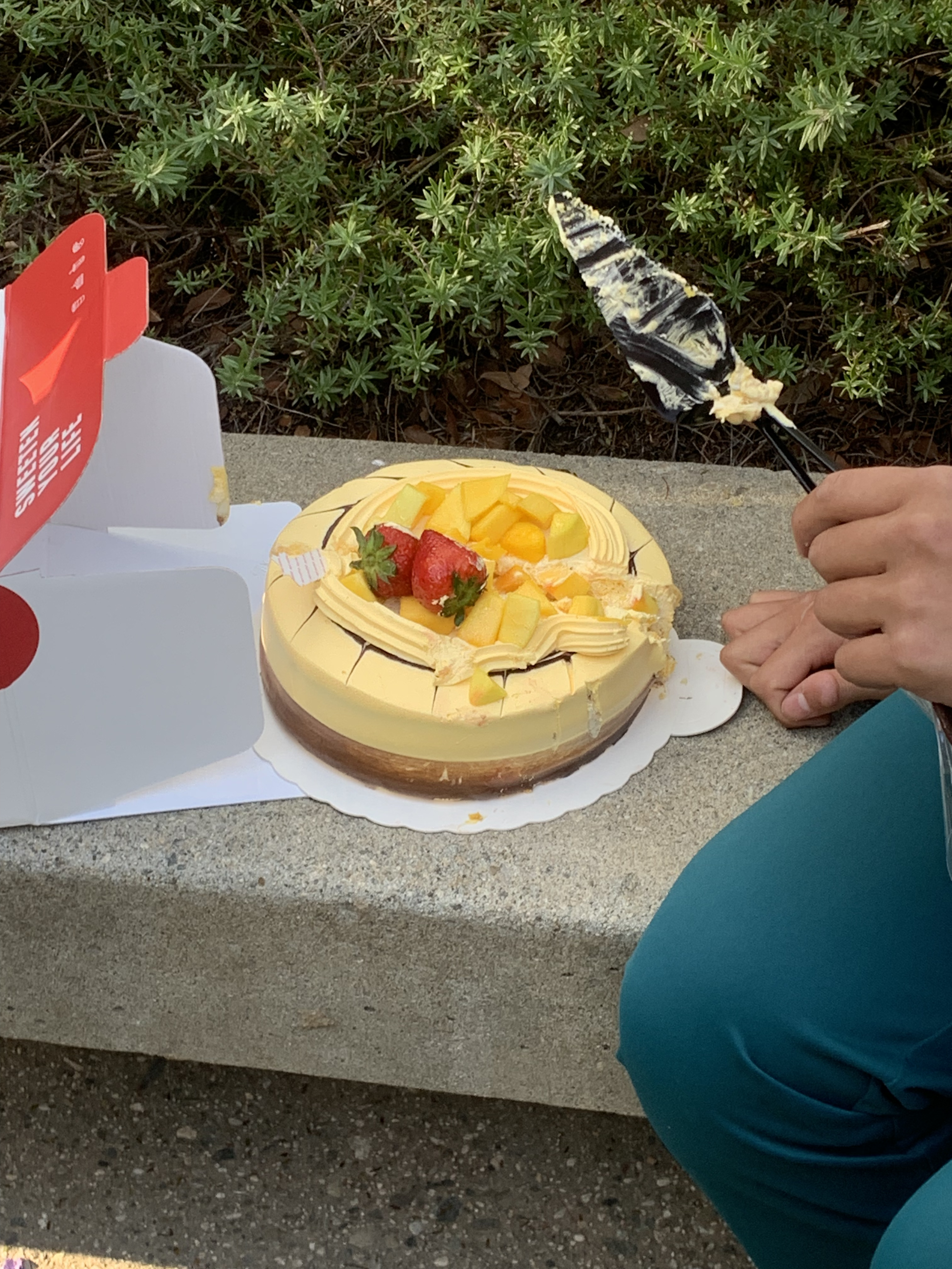 Carl's birthday cake